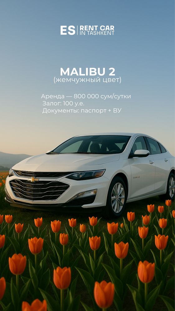 ES Rent Car - аренда авто/прокат авто/ ташкент