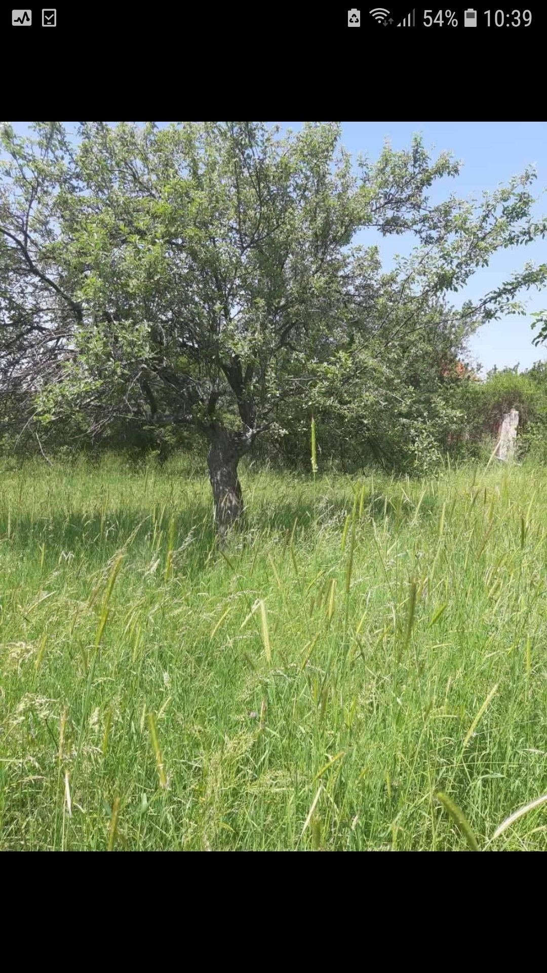 Парцел в с.Златуша