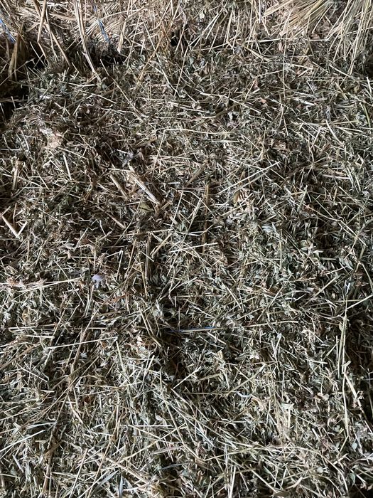 Baloti de lucerna si Orz