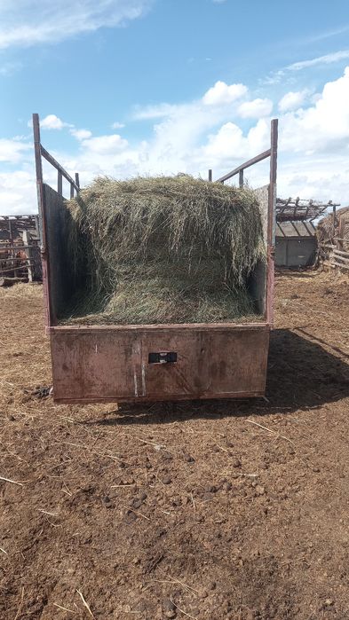 Продам зелёное сено 1рул - 6000тнг с доставкой