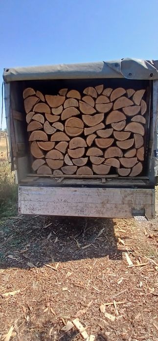 Vănd lemne de foc urgent la jumătatea de preț 300 de lei metru