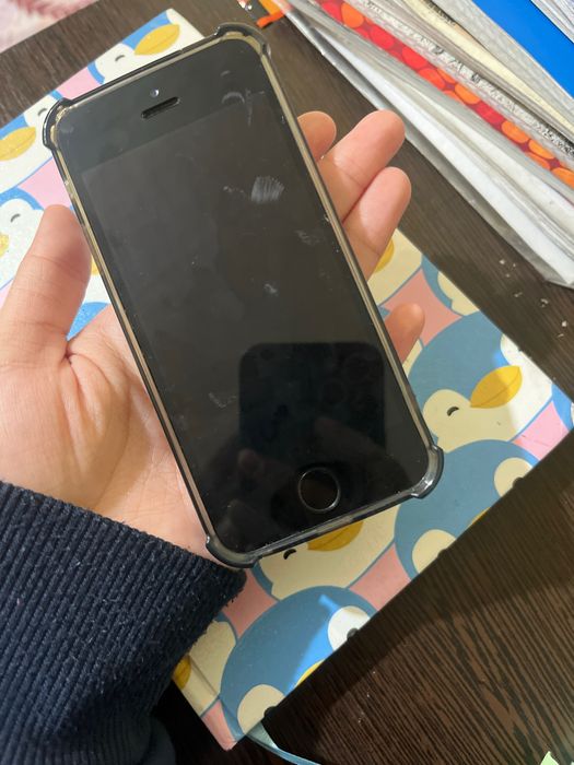 iphone 5s работает