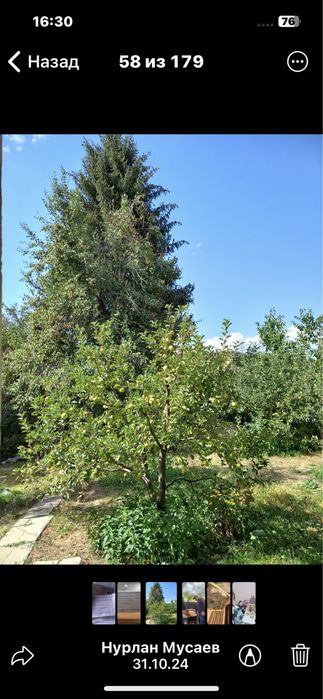 Участка в Чимгане для ИЖС.