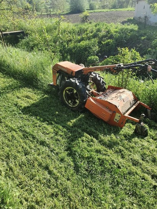 Tai tund defrisez erbicidez iarba gazon boscheti