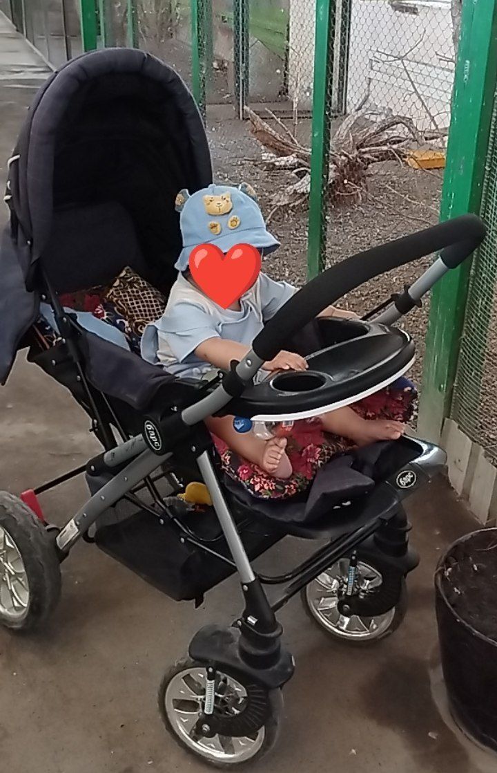 Kolyaska va velik sotiladi