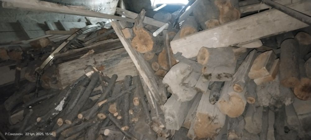 Oʻtin bor arzonga beramiz bemalol xammasi 2moshina chiqadi liq toladi