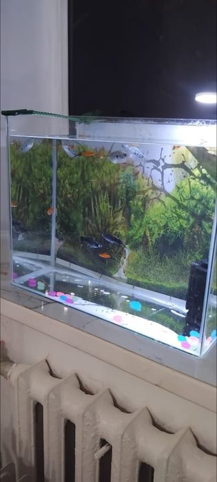 Продам аквариум в хорошем состоянии