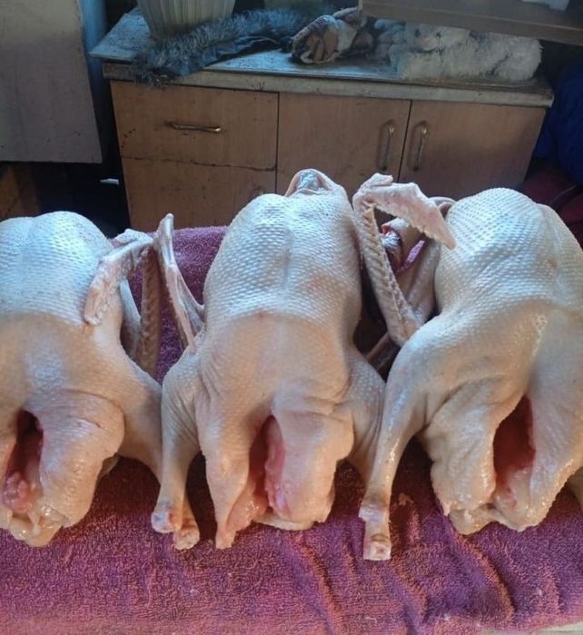 Продам Гусей мясом