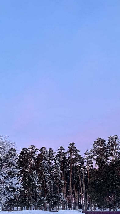 Продам или сдам дом и сделаю прописку временную и постояную