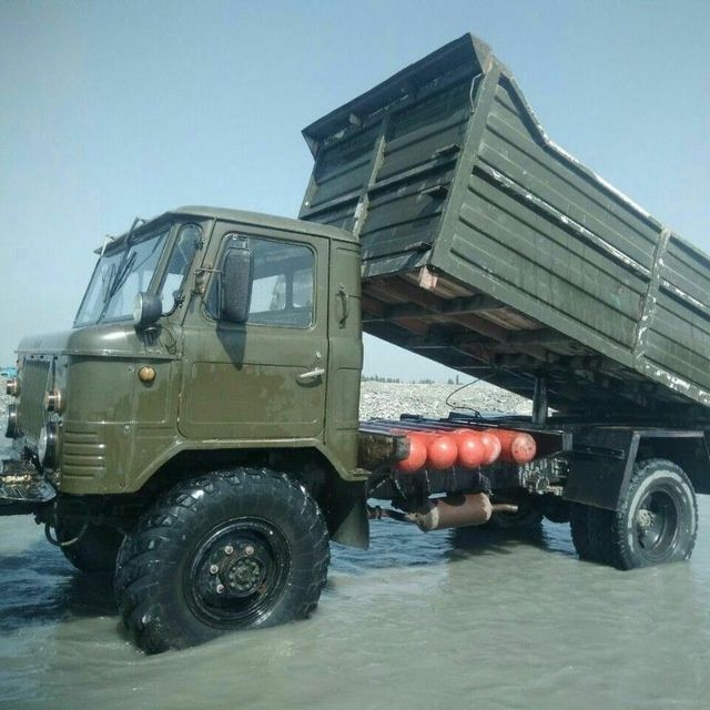 Tabiiy o'gitlar  qora mol,qo'y,ot,tovuq yetkazib beramiz xar-xil