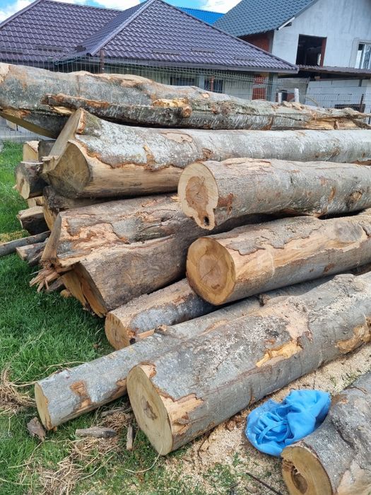 Vand lemne de foc esente tari mai multe detali  in privat