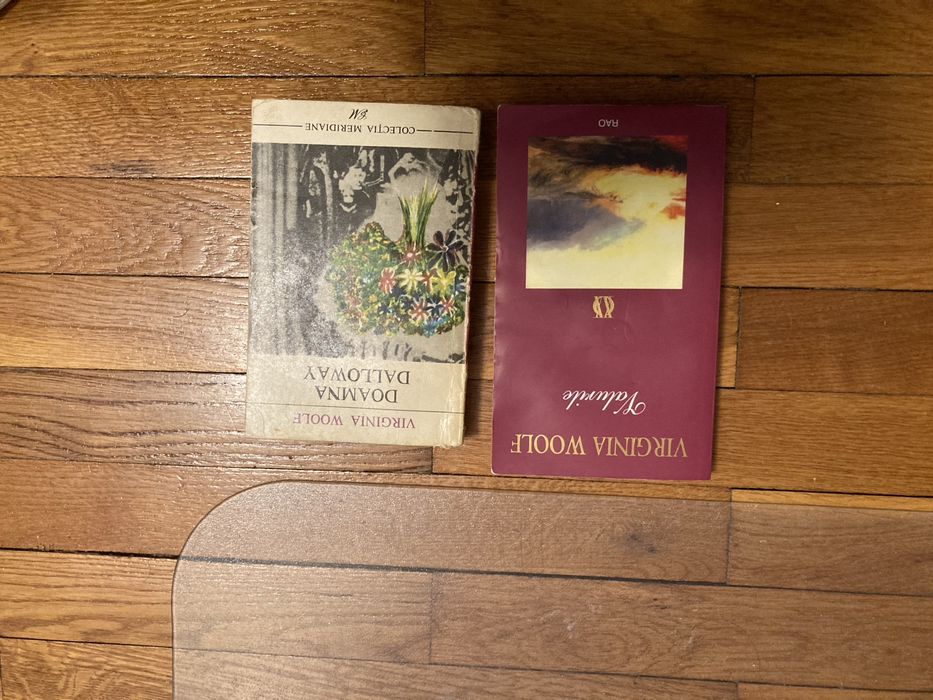 Set 2 romane Virginia Woolf