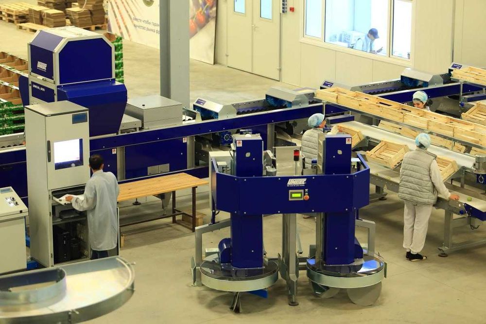 ПРОДАЁТСЯ Сортиров. и уп. линия UNICAL 600S OC. Unitec S.p.A (Италия)