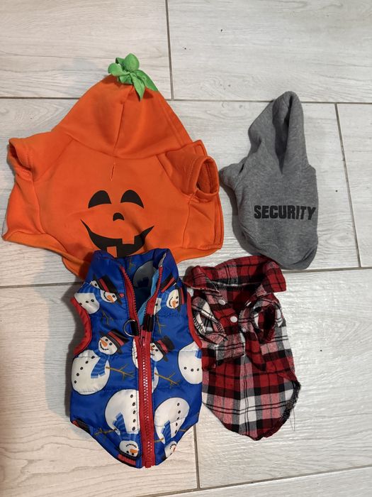 Haine catelus talie mica