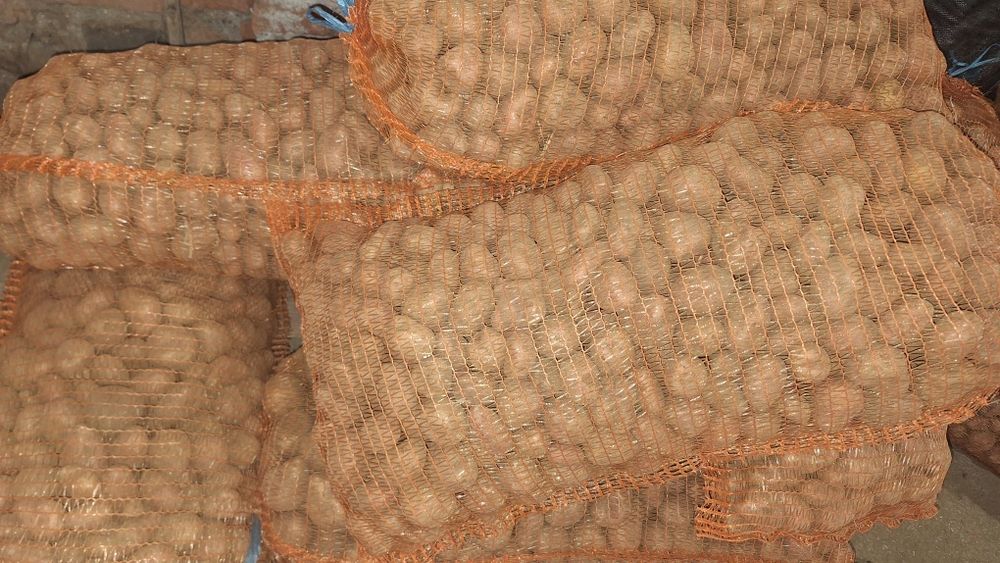 Vând cartofi albi mărunt cu sămânță 0.4