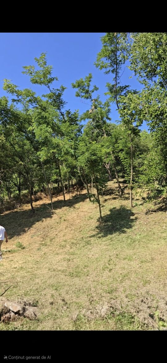Teren de vânzare Curtea de Argeș - Zona Noapteș