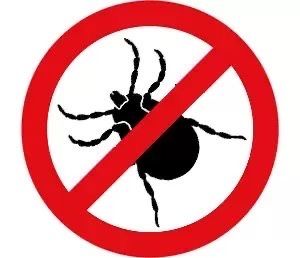 Дезинфекция Уничтожение тараканов и клопов и других насекомых.