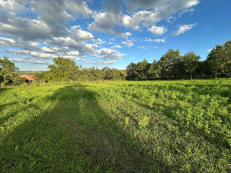 Teren intravilan 950 mp Corușu – panorama spre pădure