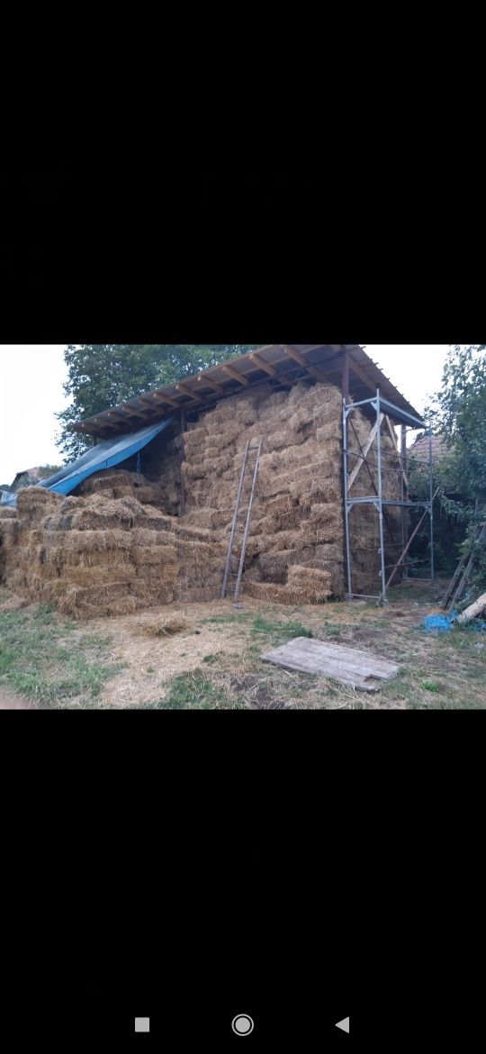 Baloți de paie  de anul acesta