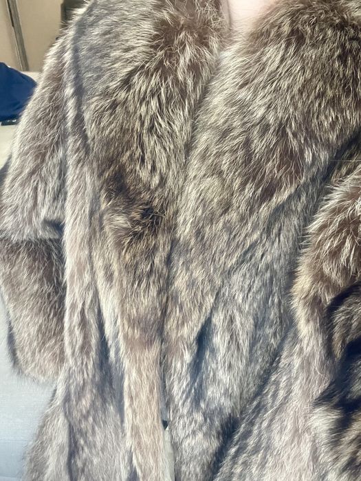 Blana de urs nepurtata