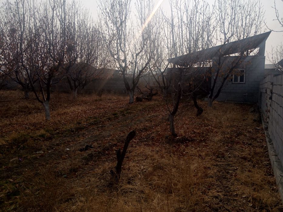 Ховли чек сотилали срочно