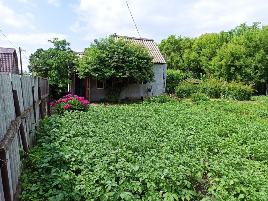 Продам дачу СО Восток оз.Пёстрое 8.5 соток