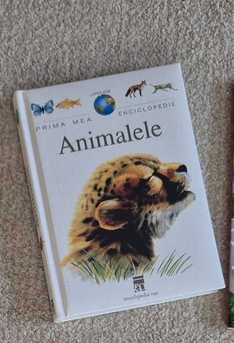 Enciclopedii și cărți educative pentru copii (9 cărți ilustrate)