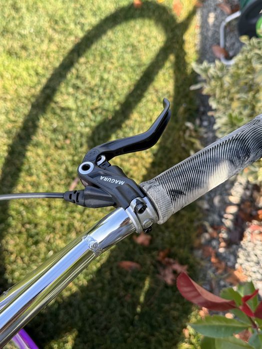 SE bike wheelie , purple rain