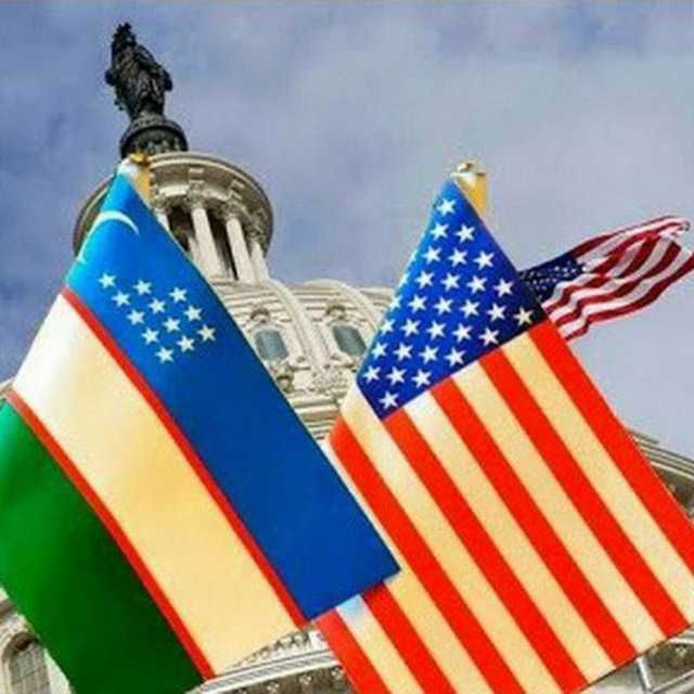 Online IELTS, GENERAL ENGLISH kurslari arzon va sifatli - by Score8+