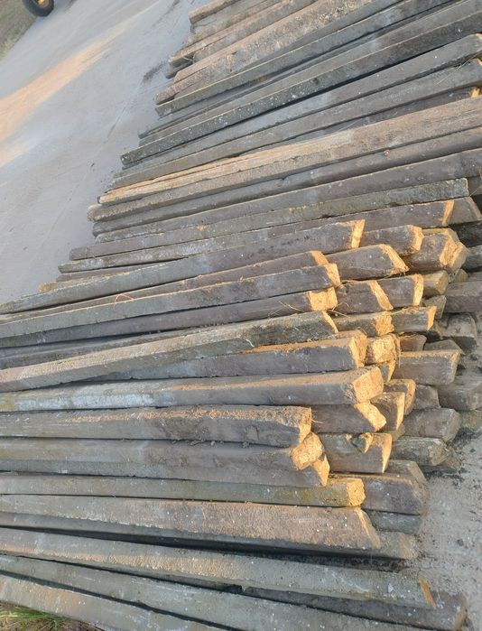 17 lei spalieri de vie