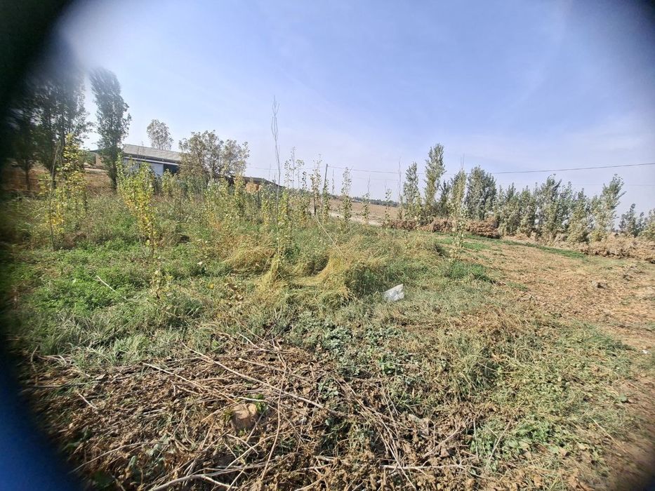 Yer sotiladi yahw joyda joylashkan