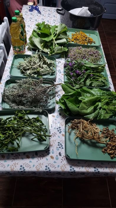 Unguent & Crema Brusture Artrita Guta Entorse Osteoporoză Reumatism