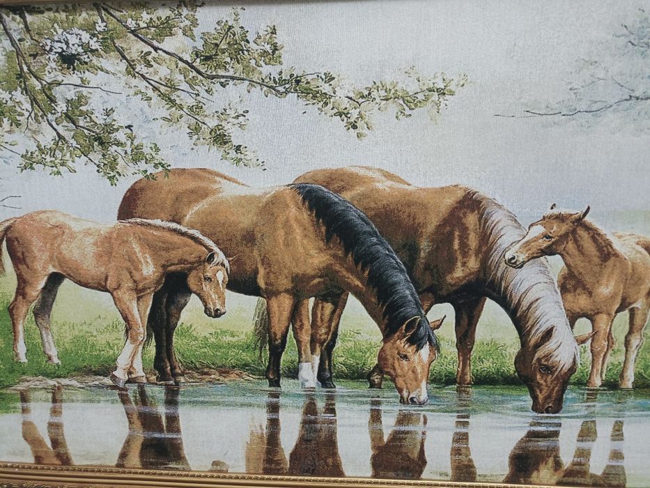 Лошади на водопои