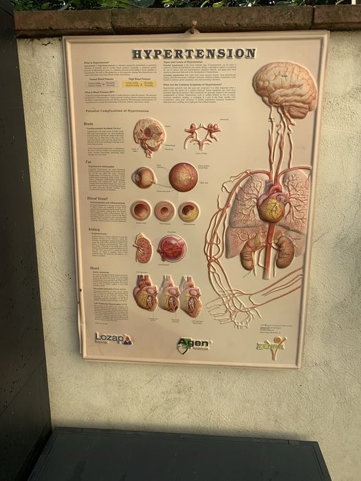 Planse anatomice sistem muscular si hipertensiunea