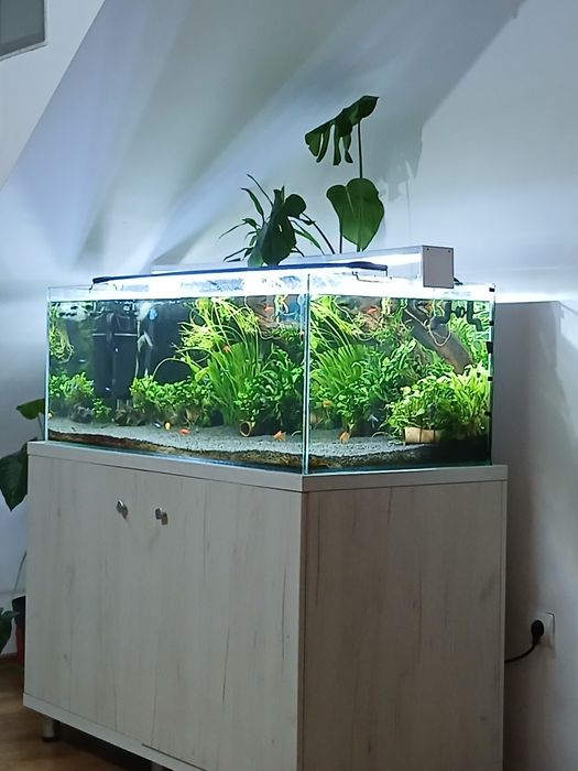 Acvariu 360L + plus stand