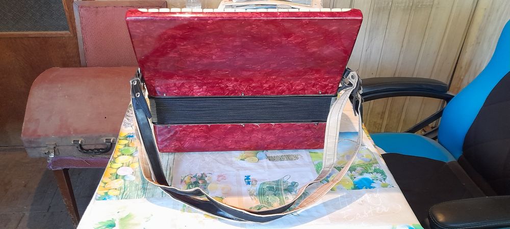 Acordeon Timis Balada 48 Bași