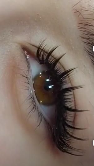 Выездам к вам на дом наращивание ресниц