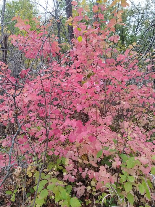 Уборка квартир и домов