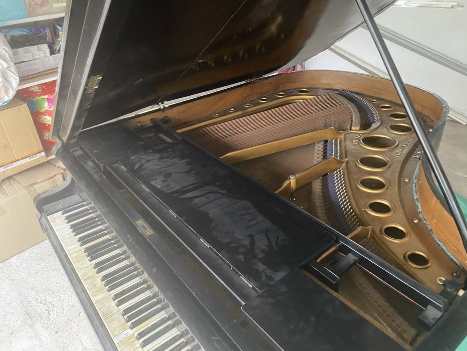 Pian Frantz Wirth placa bronz