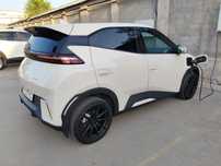 Byd seagull 2024 (официальный)