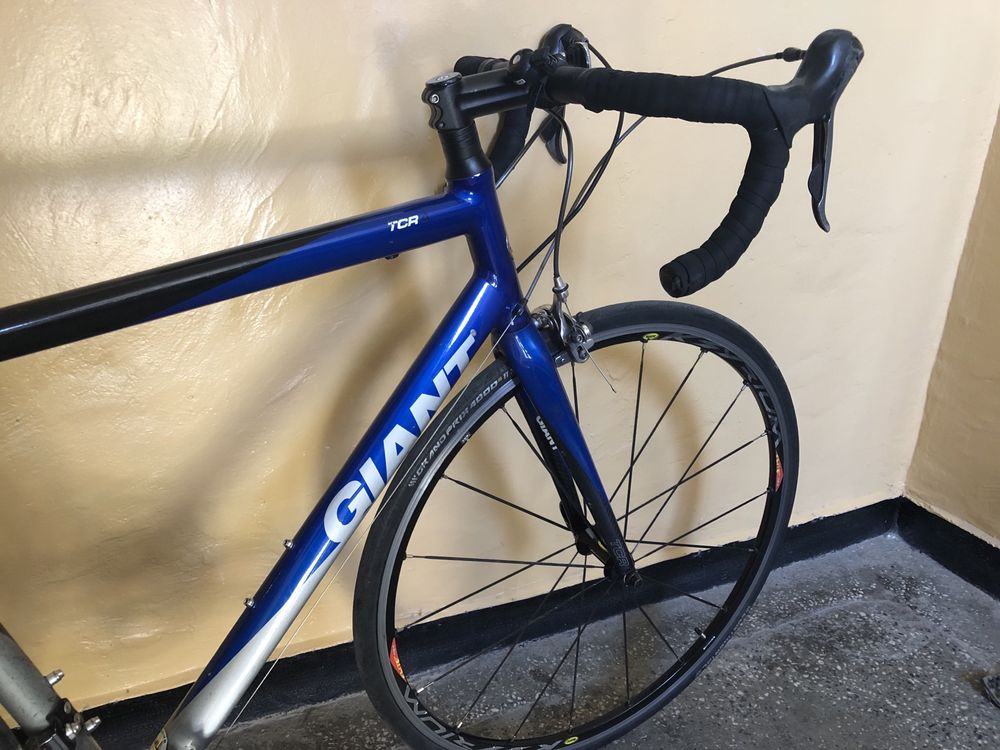 Giant tzr A carbon