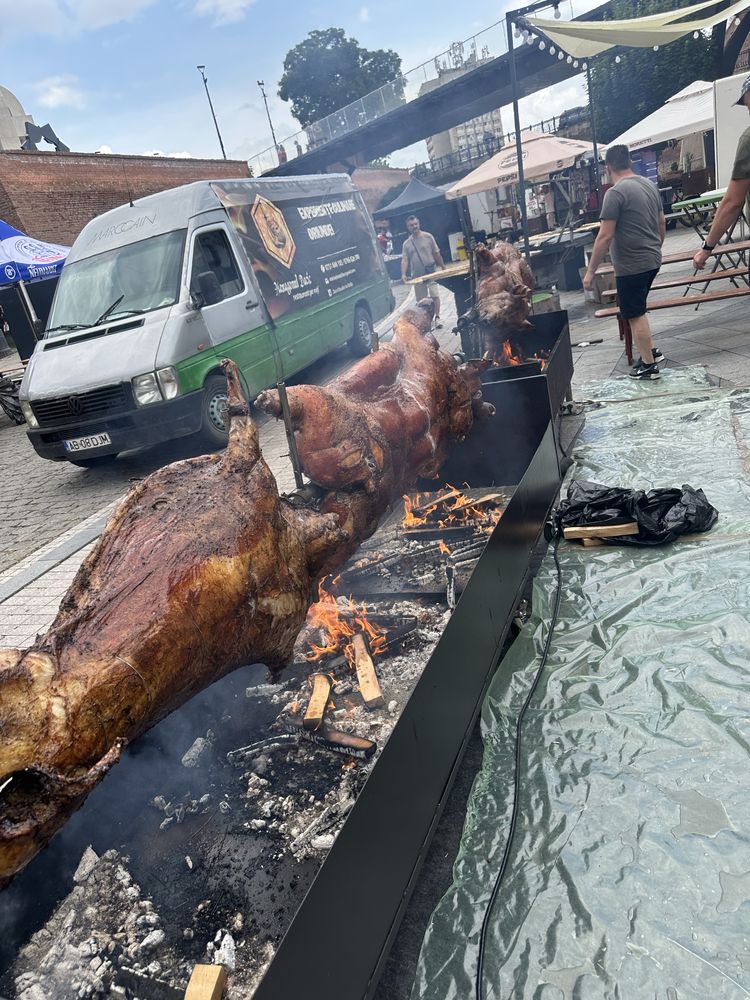 Protap de porc, vitel, berbecut, oaie, pui, curcani