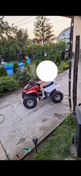 ATV ( Quad ) HONDA T-REX  2010 2 Tipmi