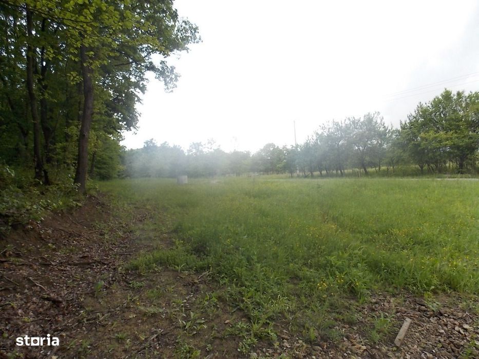 Teren ieftin 7 Lei / mp 12.544 mp în sat Păuliș la 10 min de Deva
