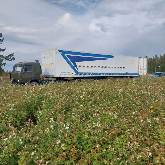 Подам пчелоприцеп.