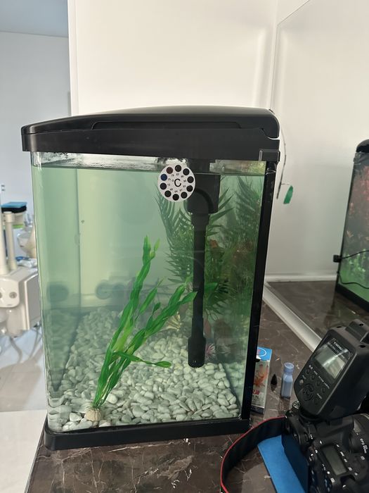 Продается аквариум