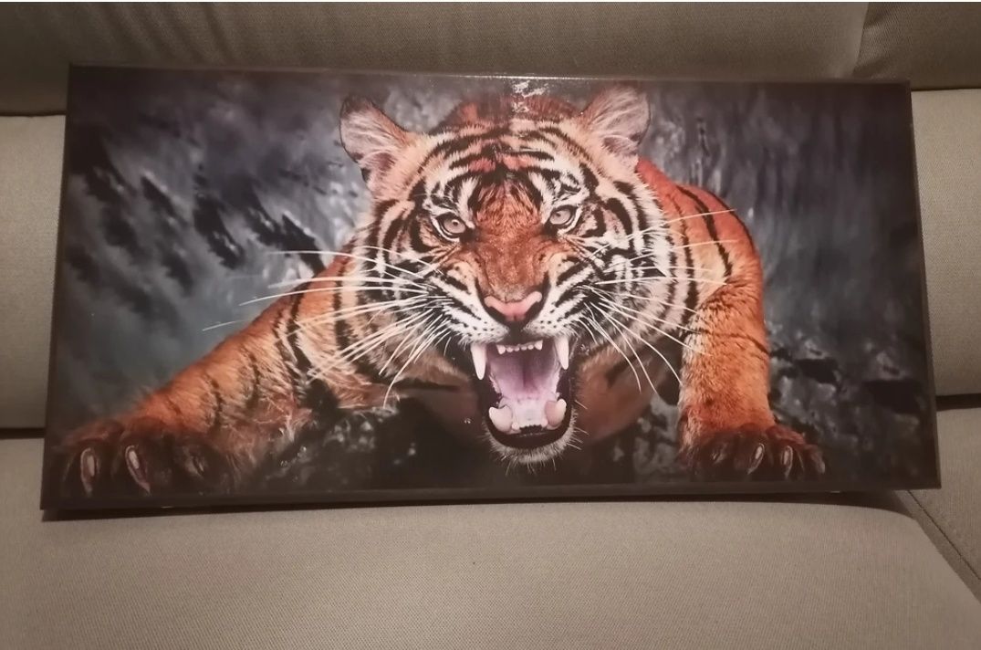 Нарды Тигр большие 60×60см новые