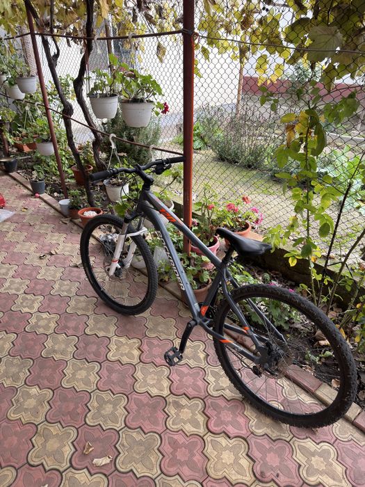 Trotineta electrica si Bicicleta