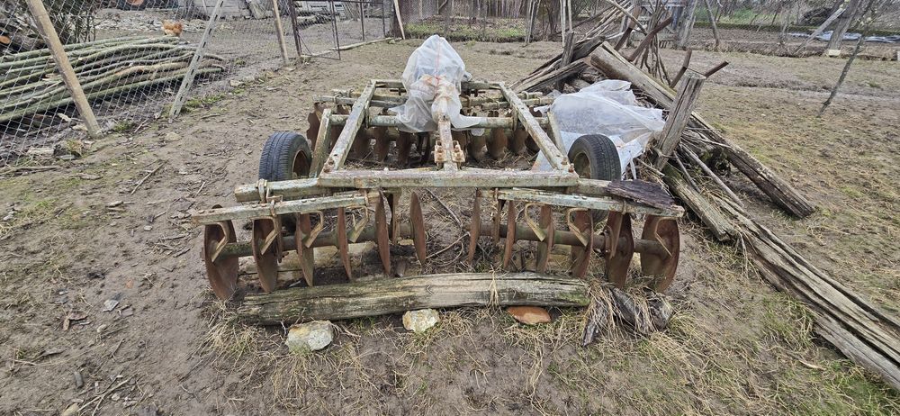 Disc 6 talere, 3 grapi