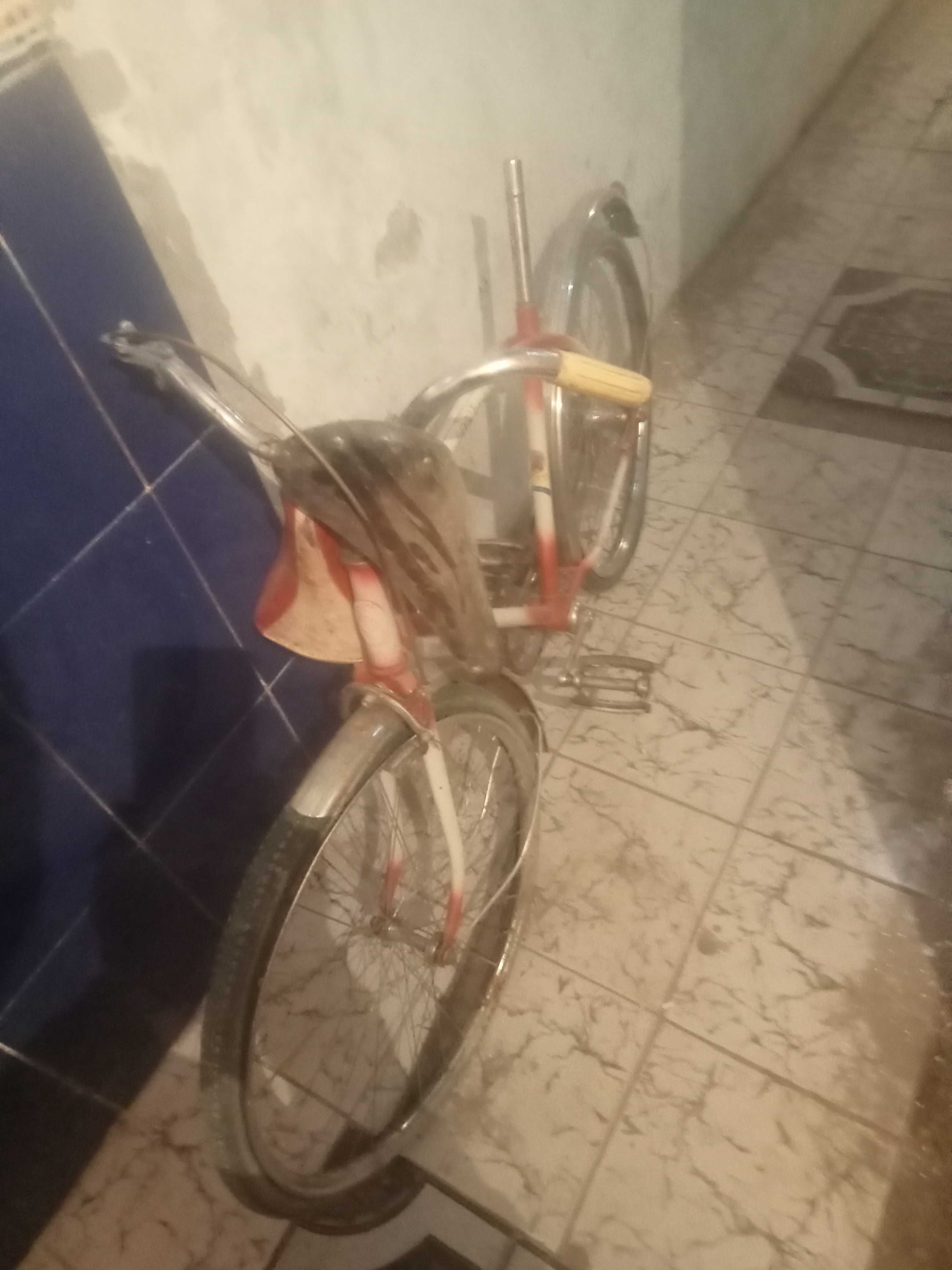Bicicleta sport mase italia